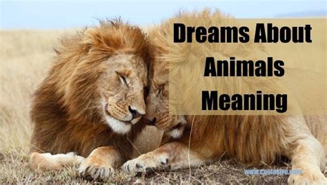 Interpretation and Resolution Strategies for Escape Dreams Involving Untamed Animals