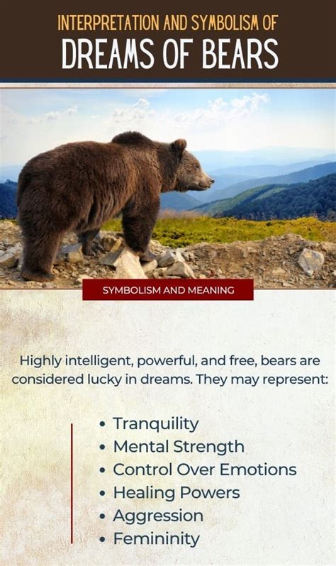 Interpreting Dreams of Bears: Power, Strength, and Intuition