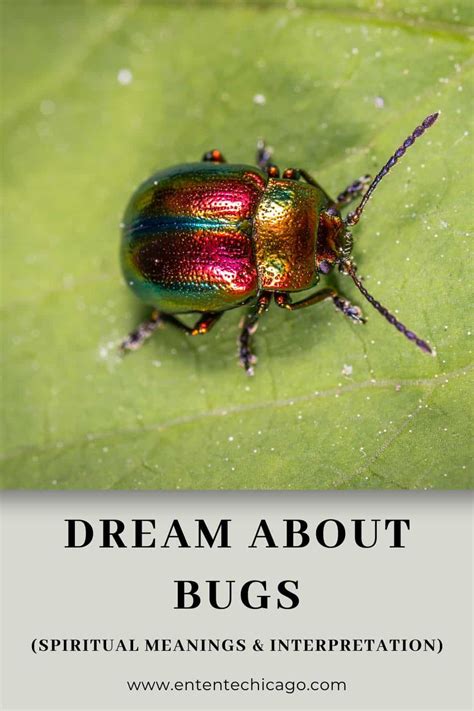 Interpreting Dreams of Specific Bugs and Insects