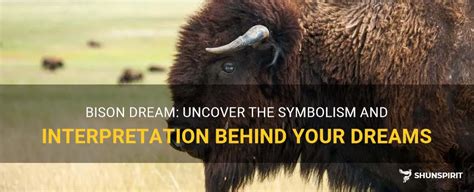 Interpreting Dreams of a Dark Bison Pursuit: Personal and Cultural Perspectives