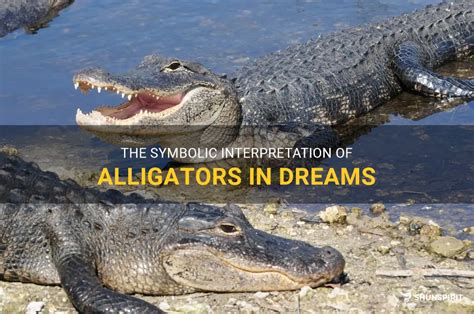 Interpreting the Symbolic Significance of a Large Alligator in Dreams