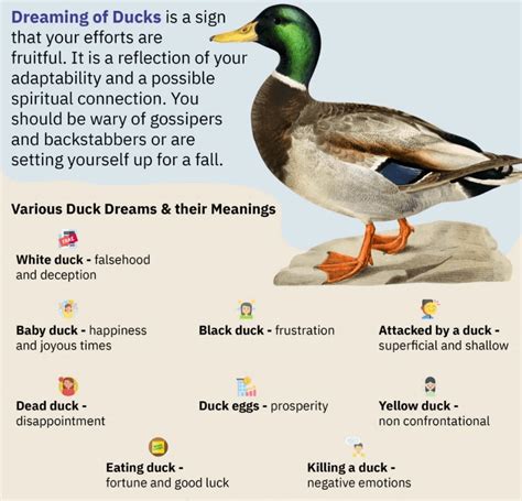 Interpreting the Symbolism of Duck Dreams