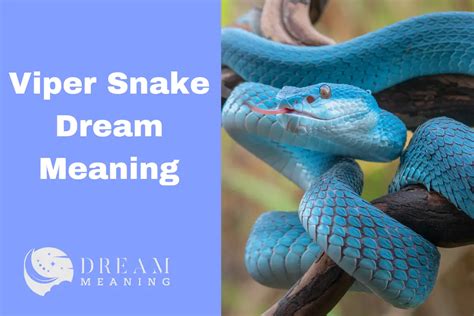 Interpreting the dream: Is the serpent a symbol of danger or metamorphosis?