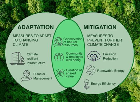 Investigating Approaches for Adaptation and Mitigation