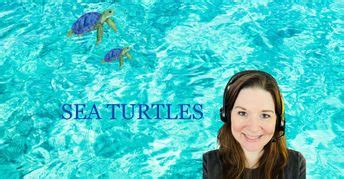 Joining the Turtle Community: Discovering Enthusiasts and Resources