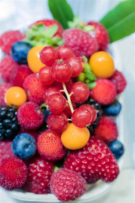 Juicy and Delicious: The Allure of Ripe Berries