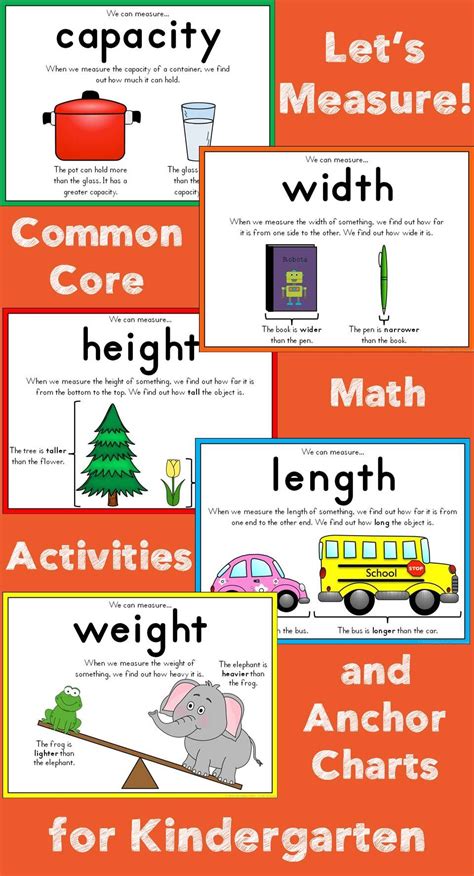 Learn About Aeko Jung's Height Measurement