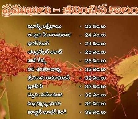 Life Span of the Deceased Legend