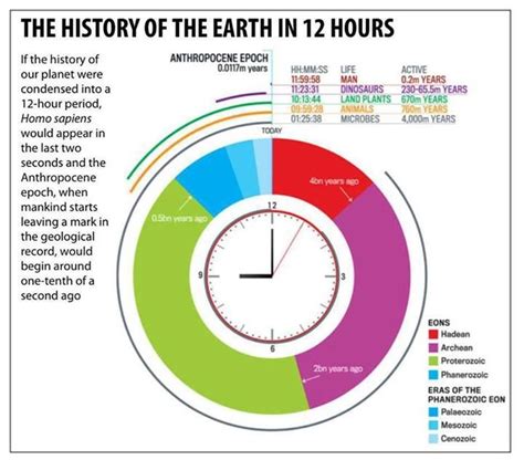 Life Story, Years on Earth, Vertical Reach