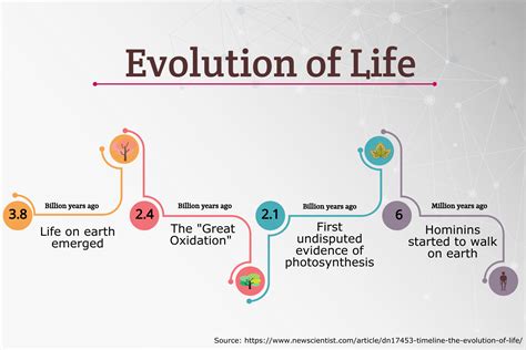 Life Story: Time of Existence