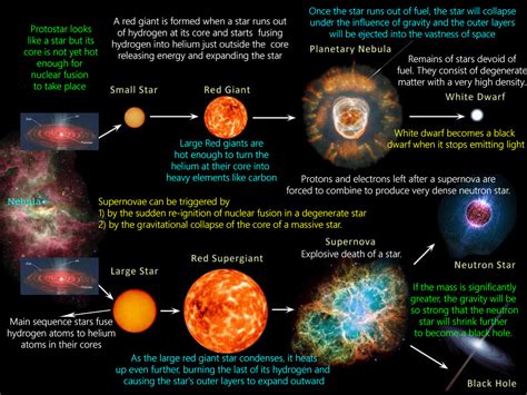 Life Story of the Stellar Star