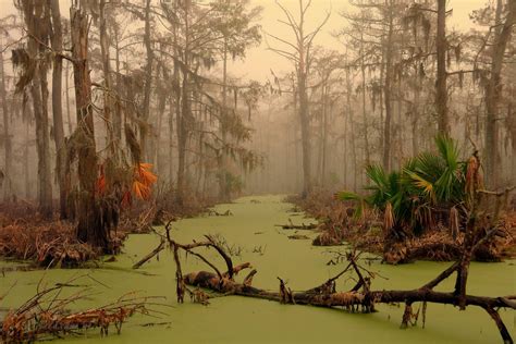 Life on the Edge: Overcoming the Harsh Environment of the Eerie River