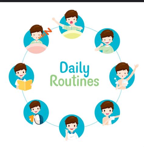 Lifestyle and Daily Routine Insights