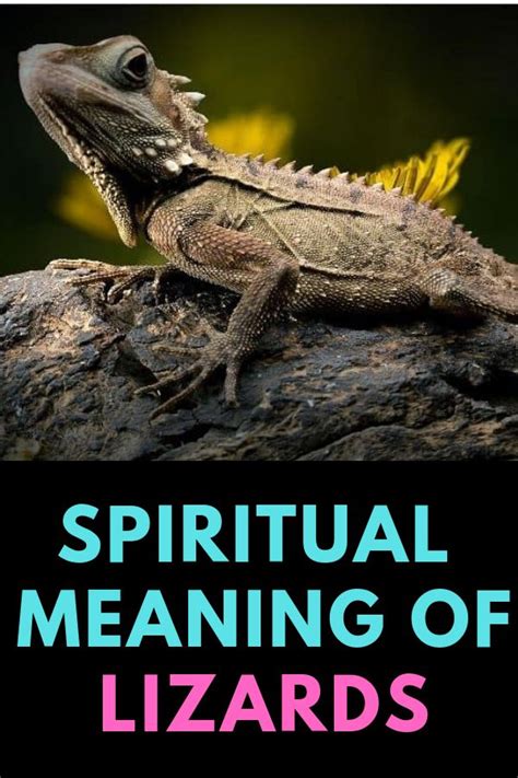 Lizards: A Powerful Symbol of Transformation