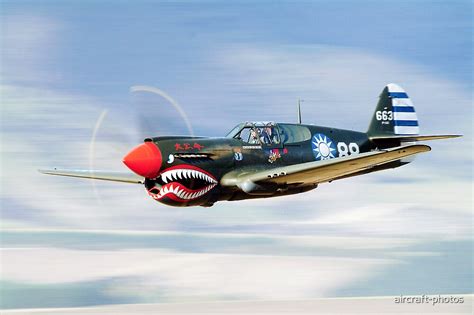 Looking to the Sky: The Continuing Fascination with Flying Tigers