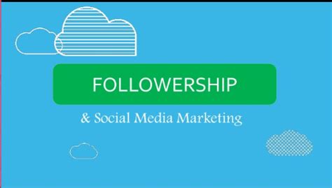 Lucy Lee's Social Media Presence and Followership