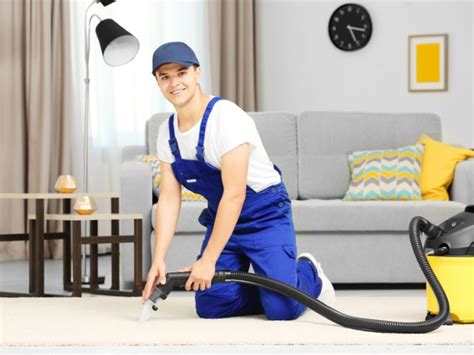 Maintenance and Cleaning Tips for Elegant Carpets: Ensuring Spotless Elegance