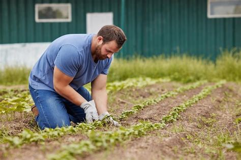 Making Dreams Come True: How Farmers Cultivate Enormous Crops