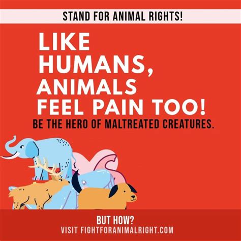 Making an Impact: Advocacy for Animal Rights