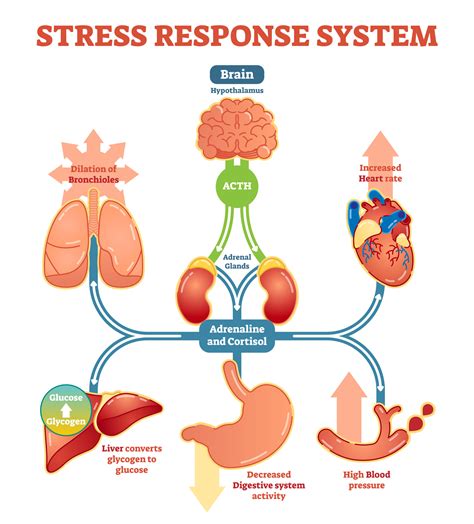 Manifestation of Stress and Anxiety in Dreams of Difficulty Breathing