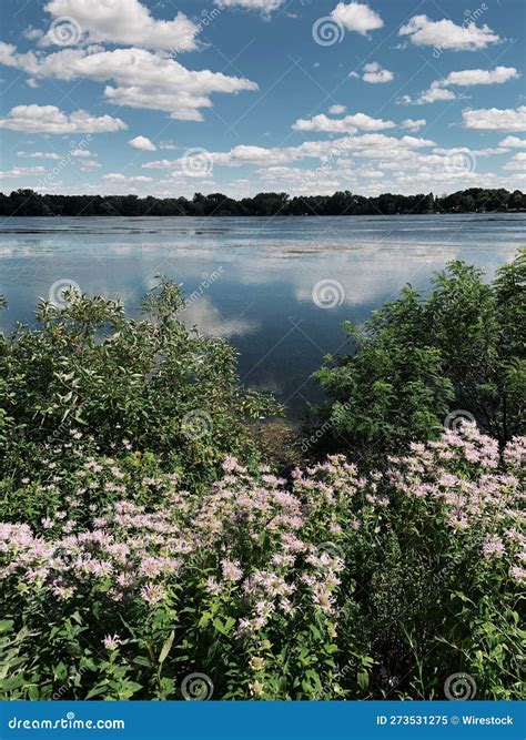 Marveling at the Dazzling Clarity of a Tranquil Waterway: An Enchanting Vision