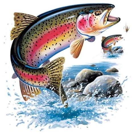 Master the Art of Landing Vibrant Trout: Uncover the Most Effective Techniques