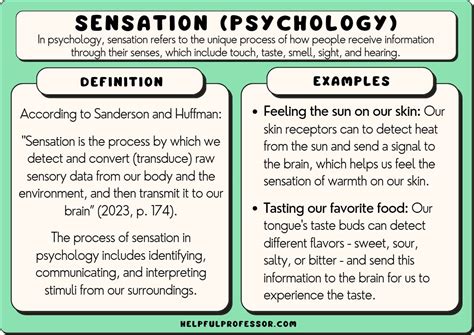 Maturity Level of the Sensational Sensation