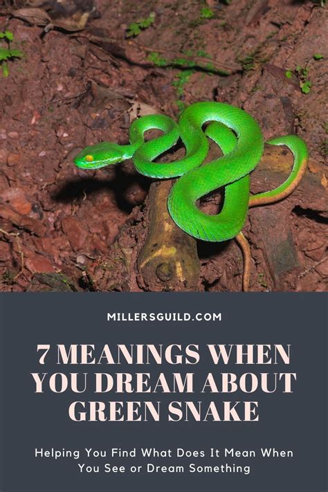 Meanings and Interpretations of Dreaming about a Green Serpent