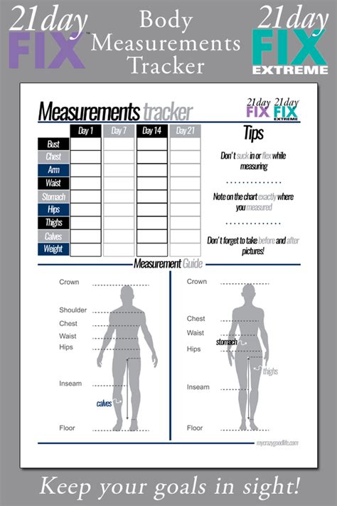 Measurements and Fitness Routine