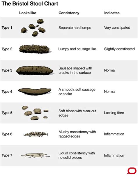 Medical Conditions That Can Manifest in Dreams with Dehydrated Feces