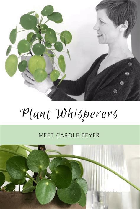 Meet the Plant Whisperers: Tales from Avid Botanical Enthusiasts