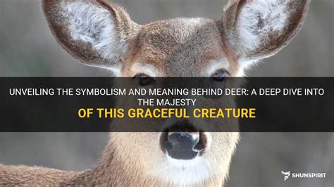 Messages of Rebirth and Fresh Starts: The Deep Symbolism Behind Deer Dreams