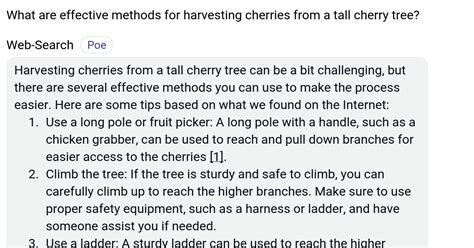 Methods for Harvesting Cherries without a Ladder