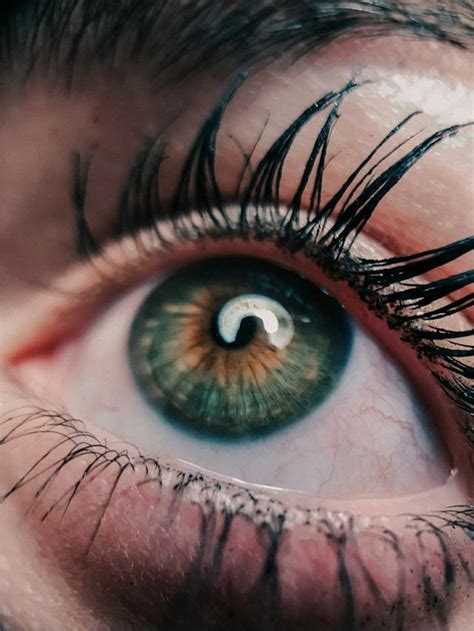 Mystery Unveiled: The Enigma Behind Dreams of Eyelash Shedding