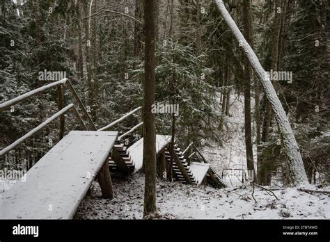 Mystical Pathways: The Allure of Snow-Covered Routes