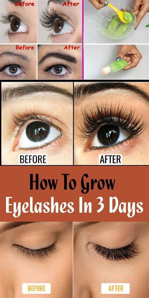 Natural Remedies for Enhancing the Growth of Lashes