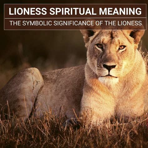 Navigating Life Transitions: Unveiling the Significance of a Lioness Encounter Dream