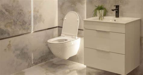 Navigating the Options: Selecting the Ideal Toilet Features