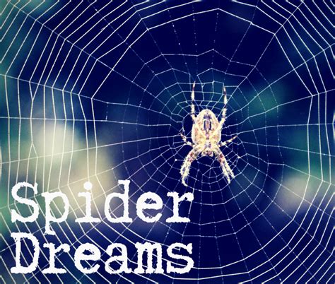 Navigating the Web of Dream Interpretation: Analyzing Spider Dreams