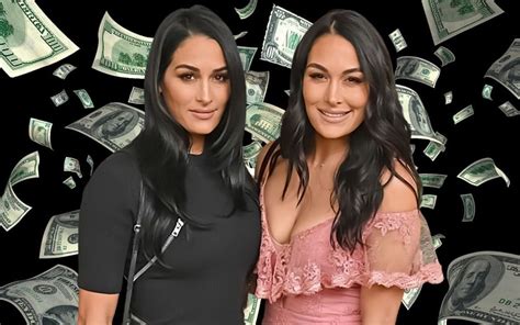 Net Worth of Bella Twins