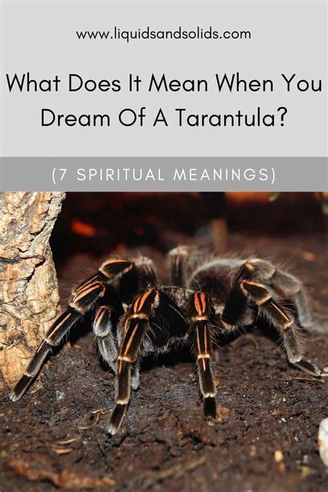 Nightmares or Omens? Decoding the Superstitions Surrounding Spider Dreams