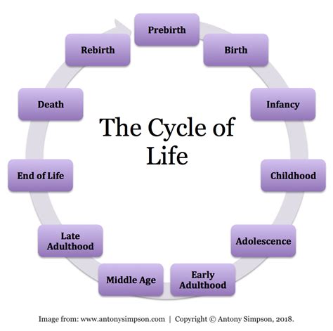 Number of Years: How Many Birth Cycles has the Individual Circled Around the Sun?