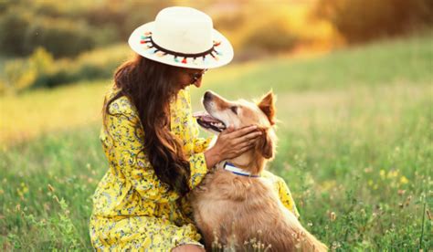 Nurturing Your Furry Friend's Well-being: Practical Tips for Fostering Your Beloved Canine's Health