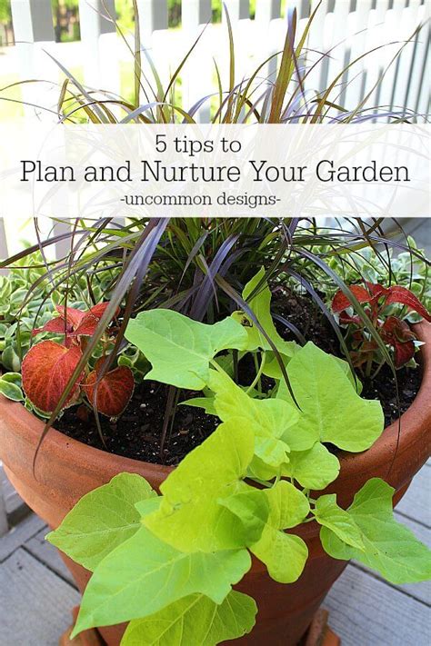 Nurturing Your Garden: Tips for Proper Care and Maintenance