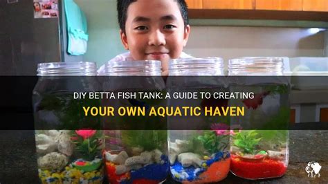 Nurturing Your Own Aquatic Haven