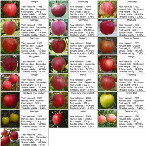 Nurturing the Seeds: The Significance of Superior Apple Varieties