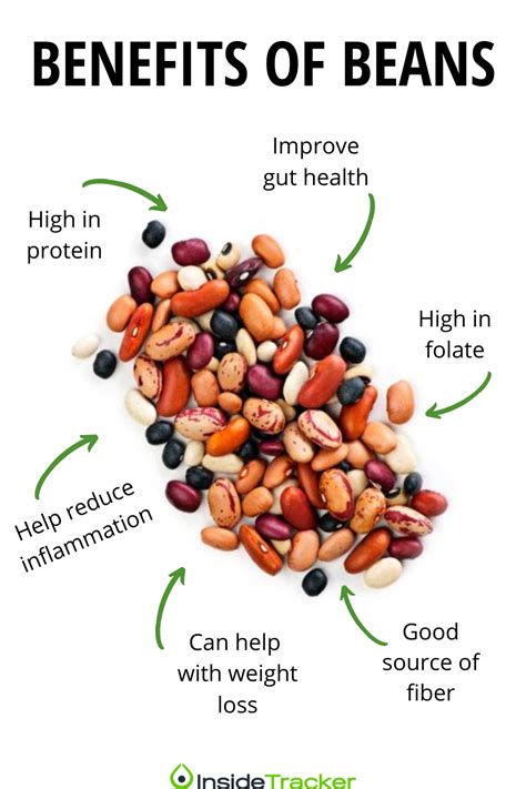 Nutrition and Flavor Harmony: Unveiling the Healthful Advantages of Beans