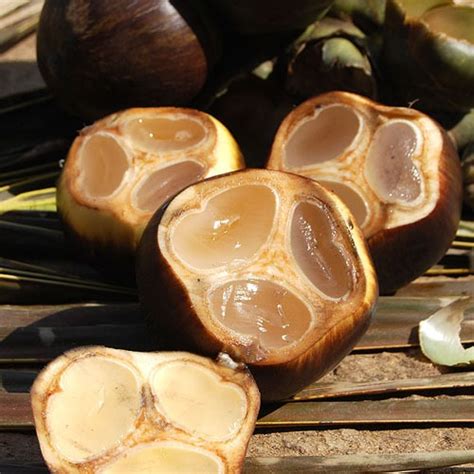 Nutritional Value of Tropical Palm Fruit