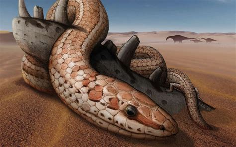 Peering into Nature's Palette: Exploring the Evolution of Brilliant Serpents