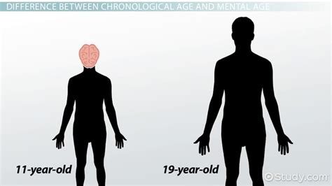 Person's Chronological Age and Vertical Measurement